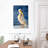 Brampt Shy Pelican-108622645