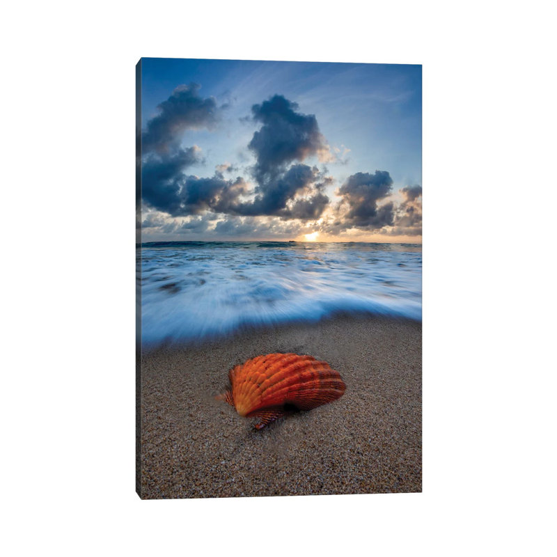 Amber Shell Sunrise by Sean Davey - Print on Canvas, 30.48cm H x 20.32cm W x 1.91cm D, Wrapped Canvas