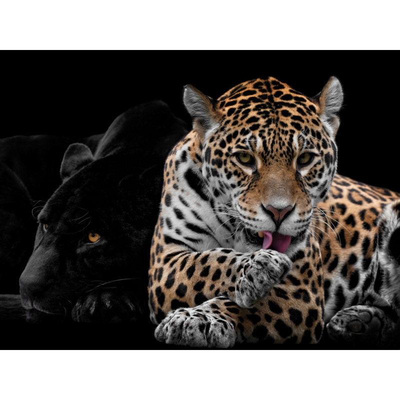 Wrapped Canvas Print, 60.96 cm H x 91.44 cm W
