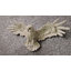 Art mural Snowy Owl