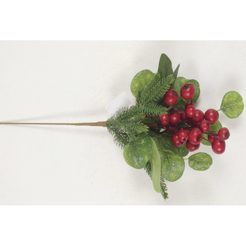Mélange de plantes vertes et de baies rouges