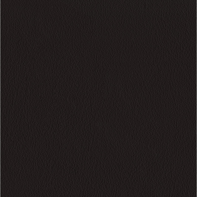 Elan Black Sample