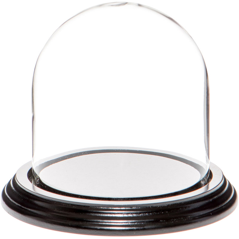 Cloche en verre Vucciria, 5.5" H × 5.5" W × 5.5" D, Base en placage de bois noir