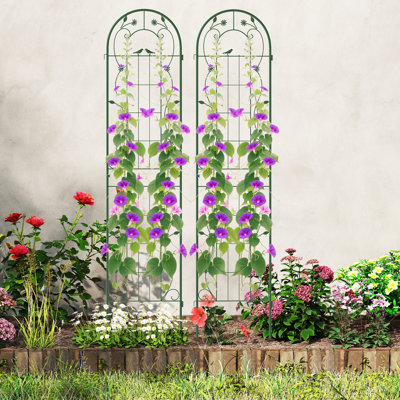 Metal Arched Trellis