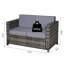 130cm Wide Rectangle Wicker Loveseat with Cushions-627510664
