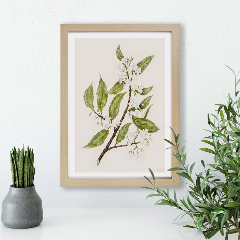 Flowers by Sarah Featon - Framed Print, 33cm H x 45cm W x 2cm D, Oak