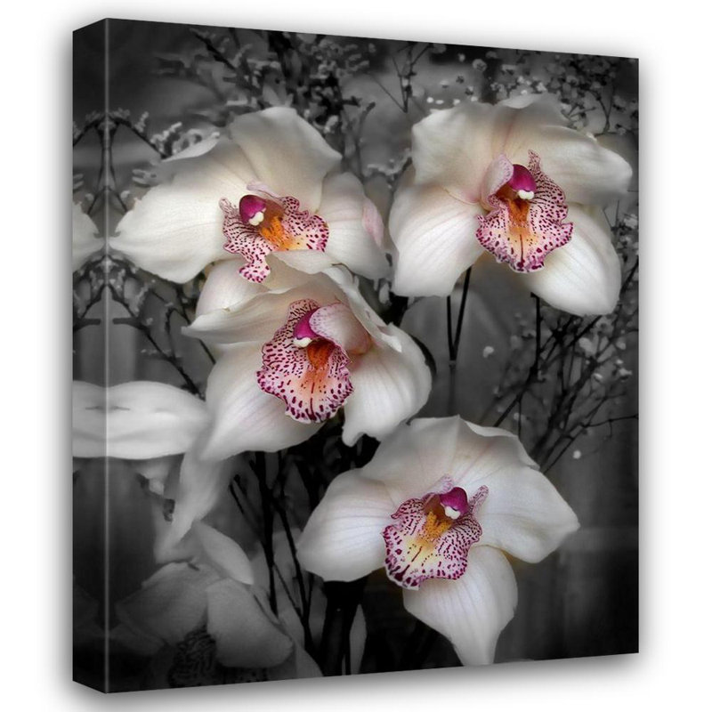 «World Menagerie Maloratsky», art sur toile tendue par la galerie Iorg: Cymbidium blanc, H 45 po x l 36 po
