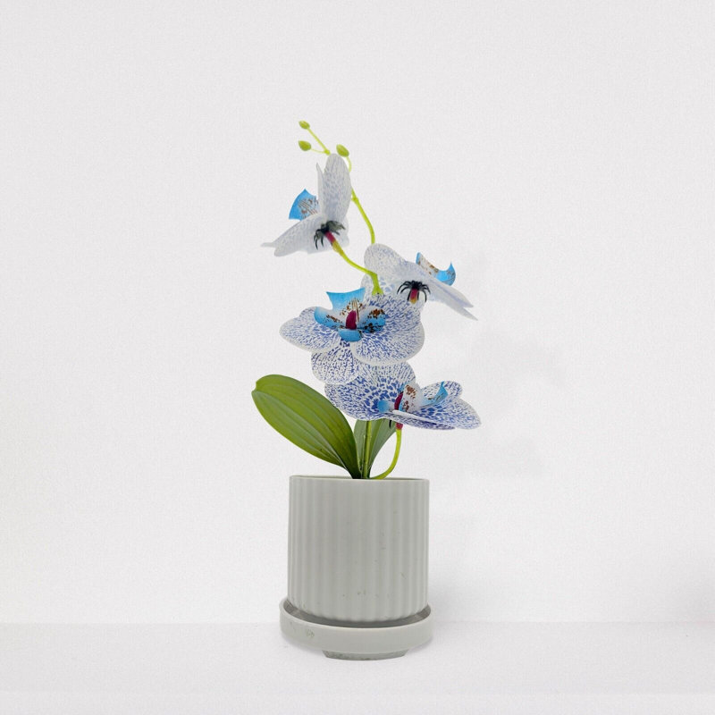 Niav Hydrangea Arrangement in Vase