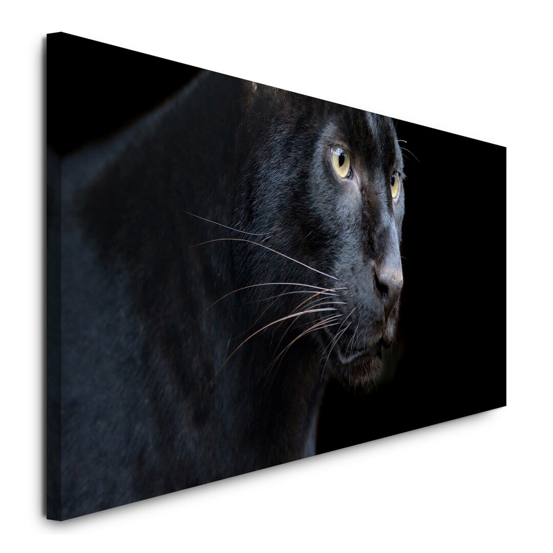 Leinwandbild Schwarzer Panther