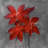 Asiatic lily - 32"x32" art on canvas