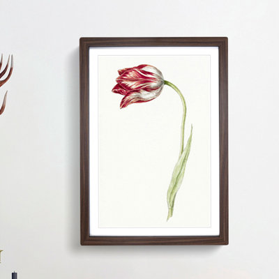 Pink Tulip Flower by Jean Bernard - Picture Frame Painting Print