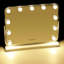 Musielak Flat Floor Mirror
