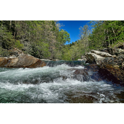 Waterfall and Pinetrees par Donnaherrmann - Photographie sur toile tendue