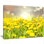 « ensoleillé avec fleurs jaunes », reproduction de photo sur toile tendue-33309470-19410640