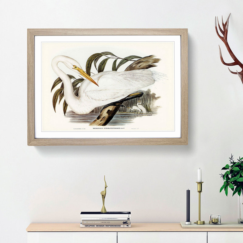 Australian Egret by Elizabeth Gould - Single Picture Frame Painting, Oak Framed, 33cm H x 45cm W x 2cm D