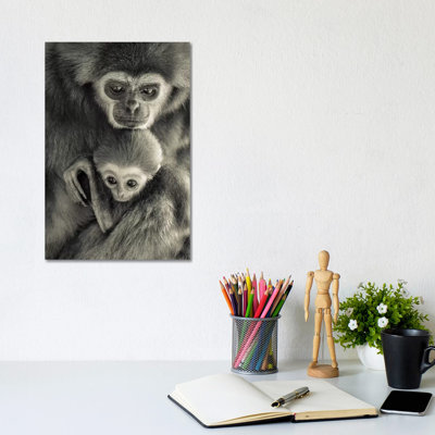 Gibons 1 Piece Wrapped Canvas Wall Art