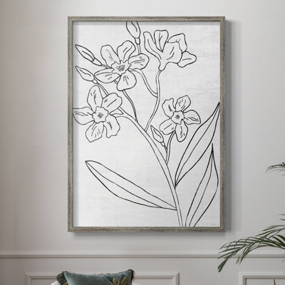 Botanical Sketch II Framed Print - Solid Wood 46401