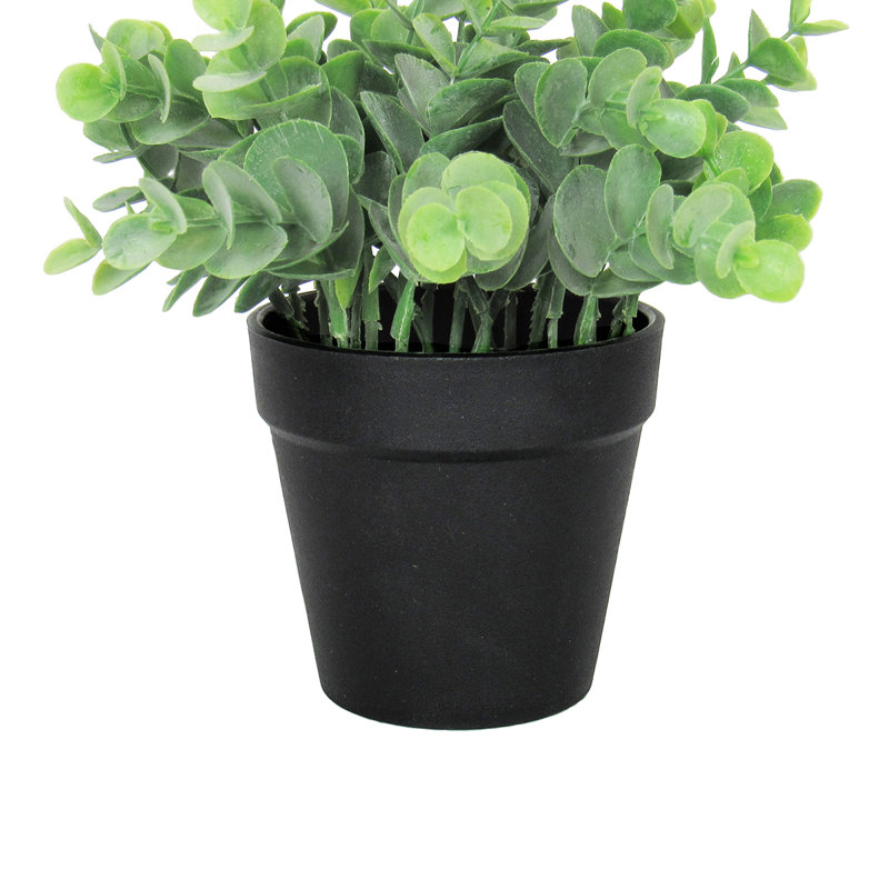 Eucalyptus artificiel 3,5 po en pot, Noir