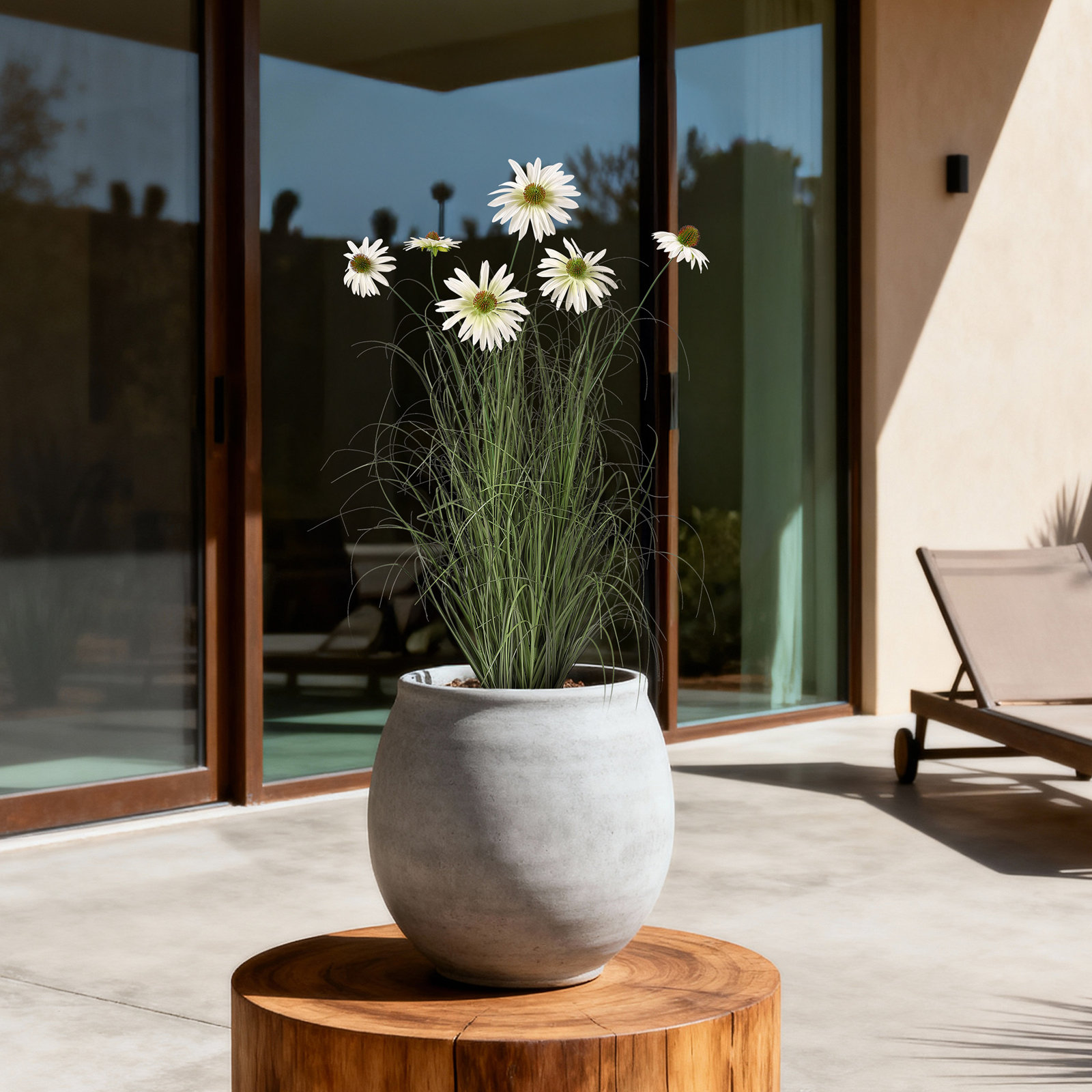 Adcock Onion Grass in Pot, 36" H x 14" W