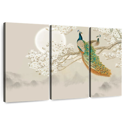 Japanese Peacock