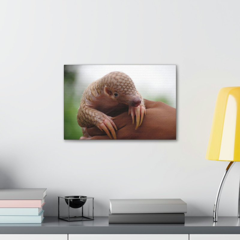 Wall Art on Canvas, 27.94cm H x 35.56cm W