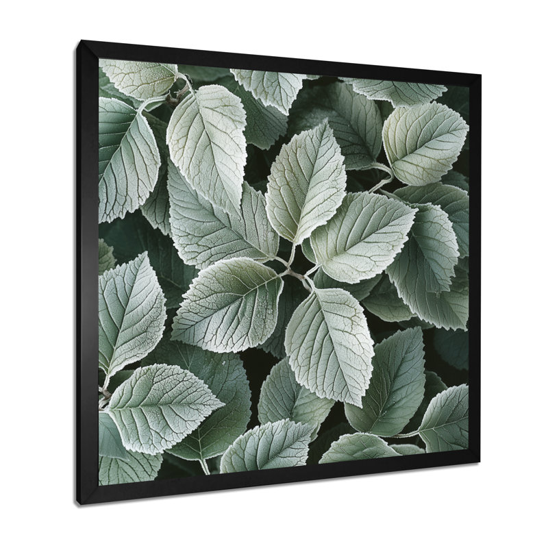 Décoration murale feuilles givrées II - feuilles, H 16 po x l 16 po, Reproduction encadrée d'une seule photo