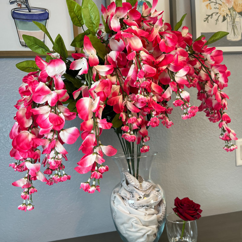 Tiges de glycine, Magenta