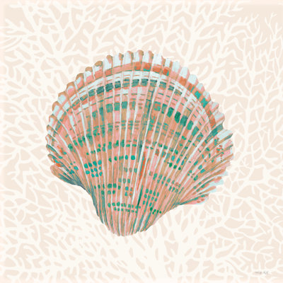 " Miami Vibe Seashell 4 "
