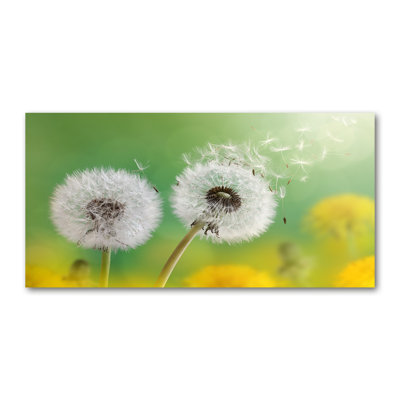 Dandelions - No Frame Print on Glass