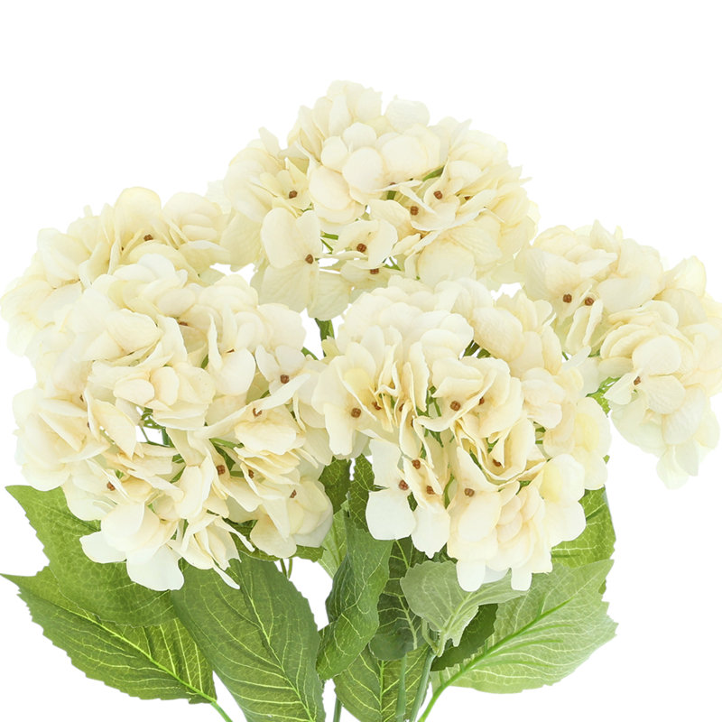Fall Hydrangea Bouquet, Cream
