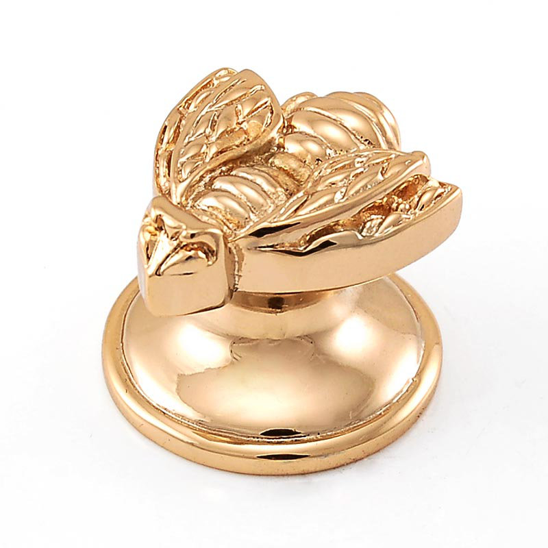 Pollino Novelty Knob, Polished Gold