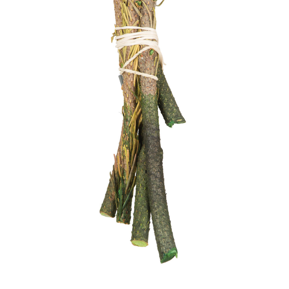 Preserved Brunia Stems