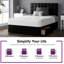 Fales Divan Bed Base-670719361-670719382-670719418