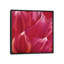«Close Up», impression sur toile-29483454-73651718-73651719