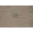 Vegetable Dye Handmade Oushak Turkish Area Rug
