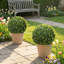 Artificial Boxwood Topiary-278216301