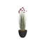 Plante de 53,6 po