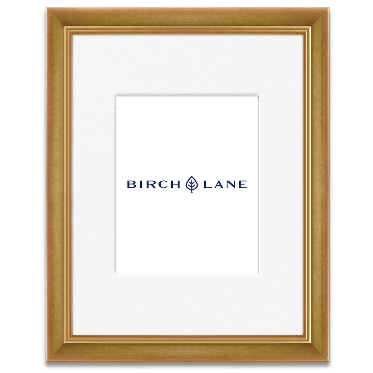 Wood Picture Frame with Mat, Gold, 18" x 24"