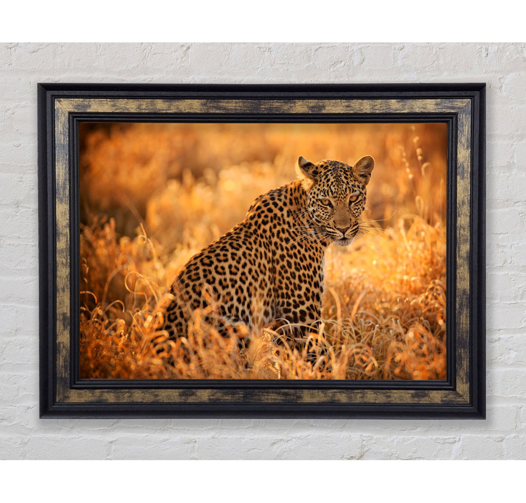 Leopard Sunset - Einzelner Bilderrahmen Kunstdrucke