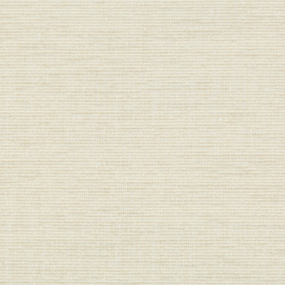 Performance Crypton Home Fabric