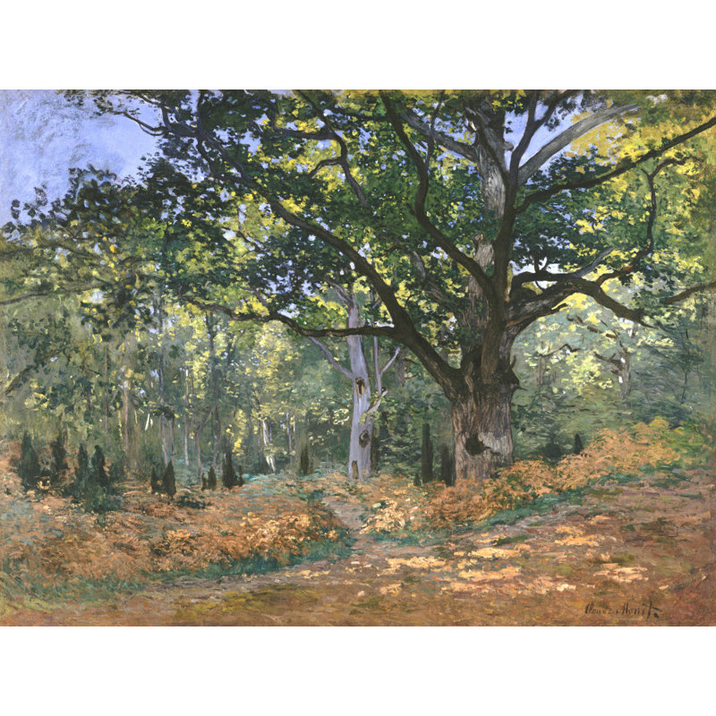 Wrapped Canvas Print, 50.8 cm H x 76.2 cm W