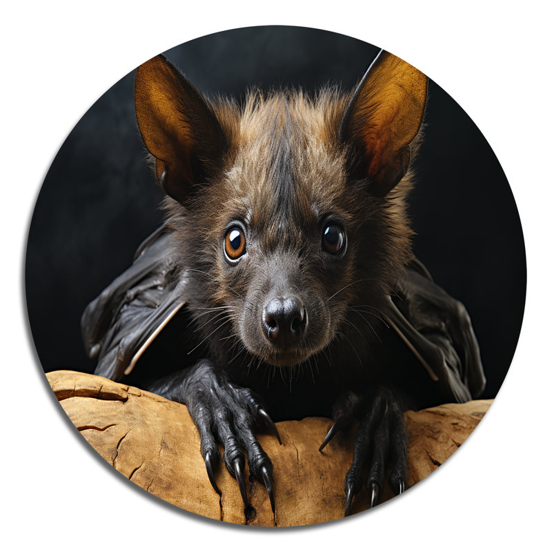 Portrait de chauve-souris I - animaux, art en métal rond, H 16 po x l 16 po x P 1 po