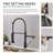 FLG Pull Down Kitchen Faucet