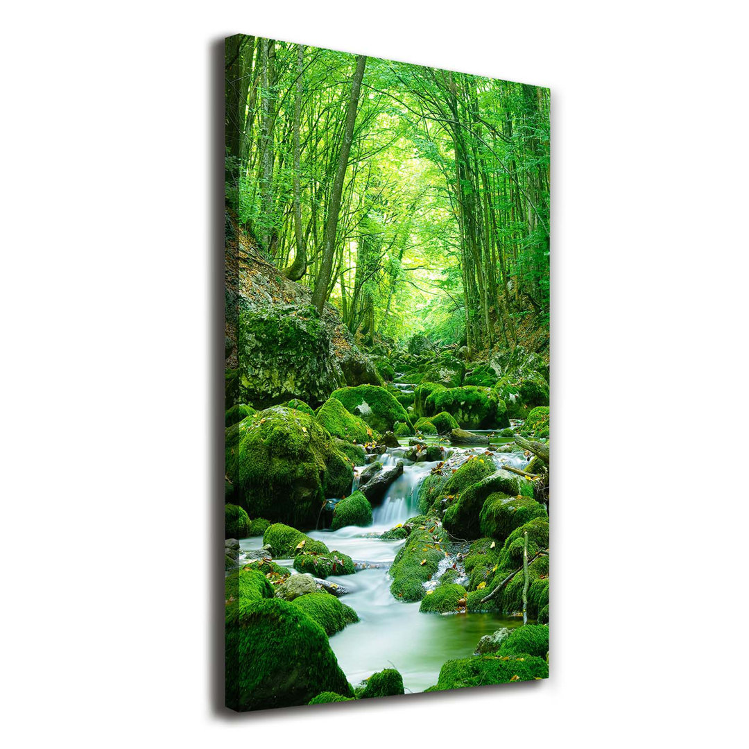 Stream in the Jungle - Kunstdrucke auf Leinwand - Wrapped Canvas