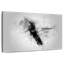 Small Hummingbird Black And White-108875818