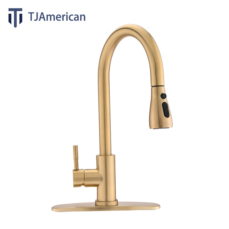 Robinet de cuisine à une poignée avec douchette extractible TJAD3411, Brushed Gold