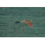 Tapis turc Art Deco 9 x 12