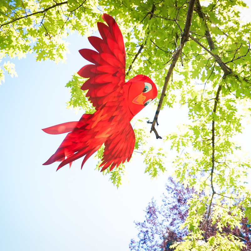 Red Bird Windsock, Red