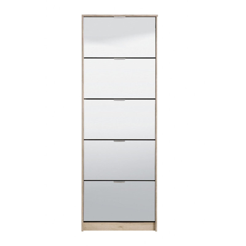20 Pair Shoe Storage Cabinet