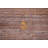 Gabbeh Oriental Area Rug 8x10